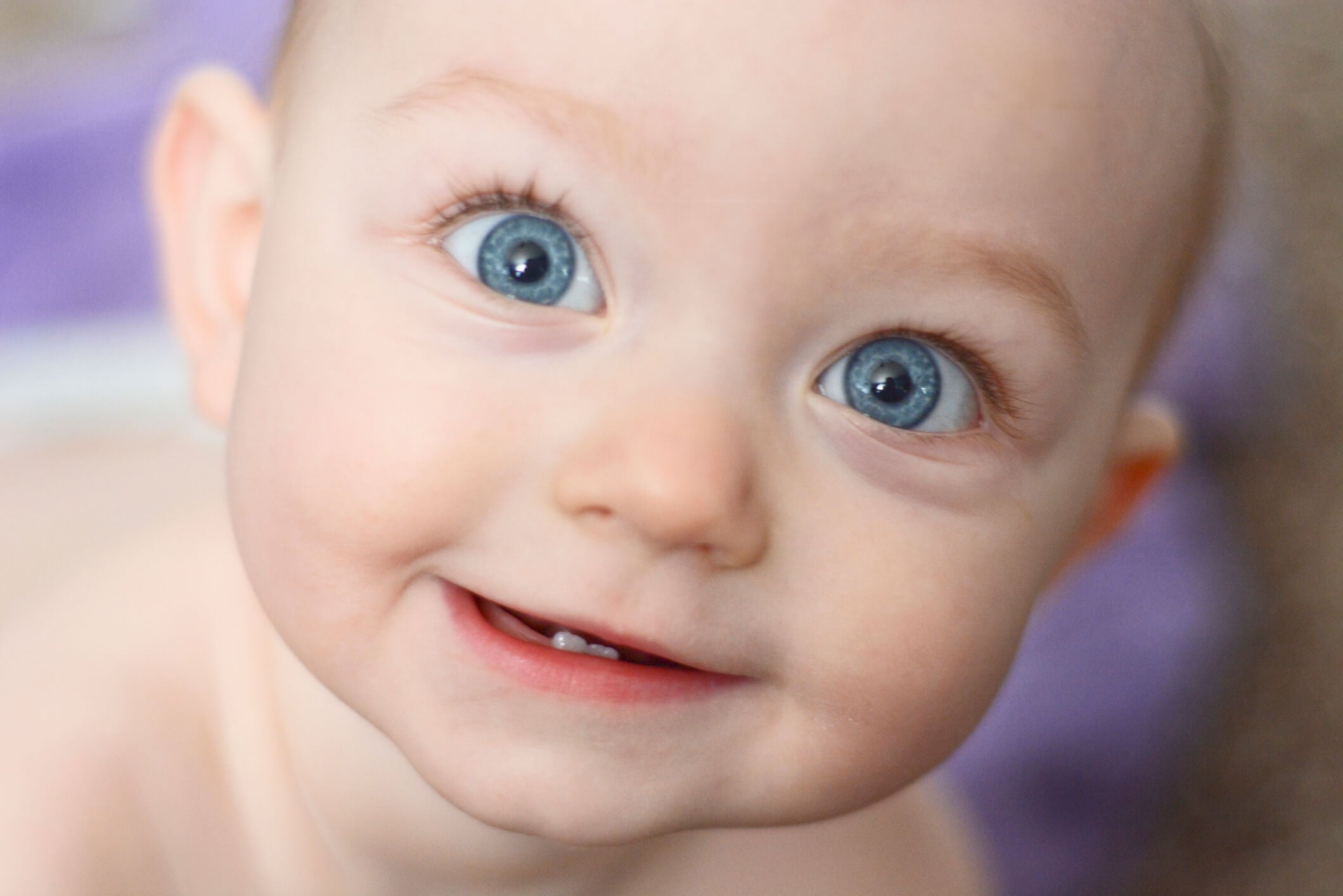Primeiros dentinhos do bebê: saiba como identificar os sinais