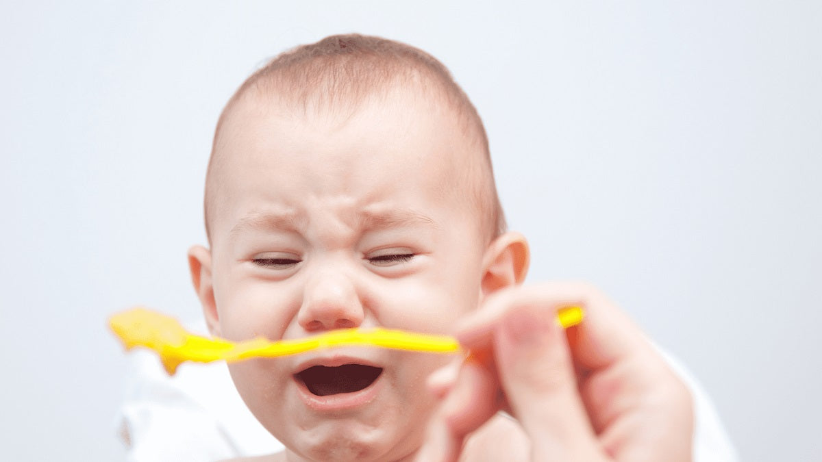 Meu bebê não quer comer: posso dar mais leite?