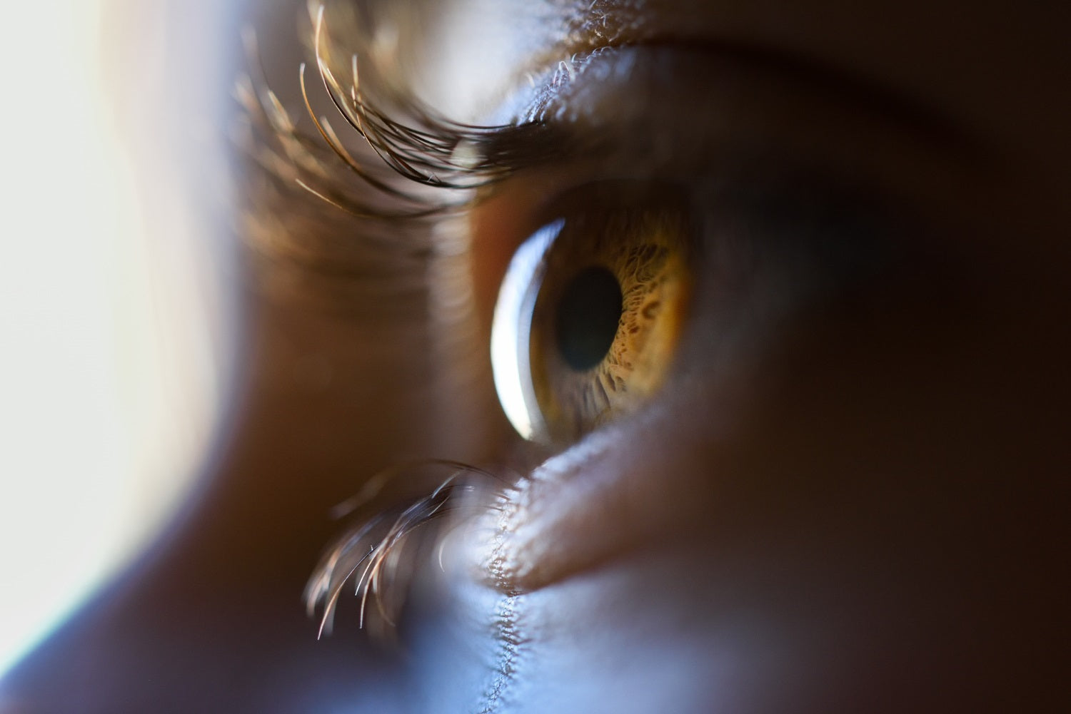 Retinoblastoma: Saiba Tudo a Respeito