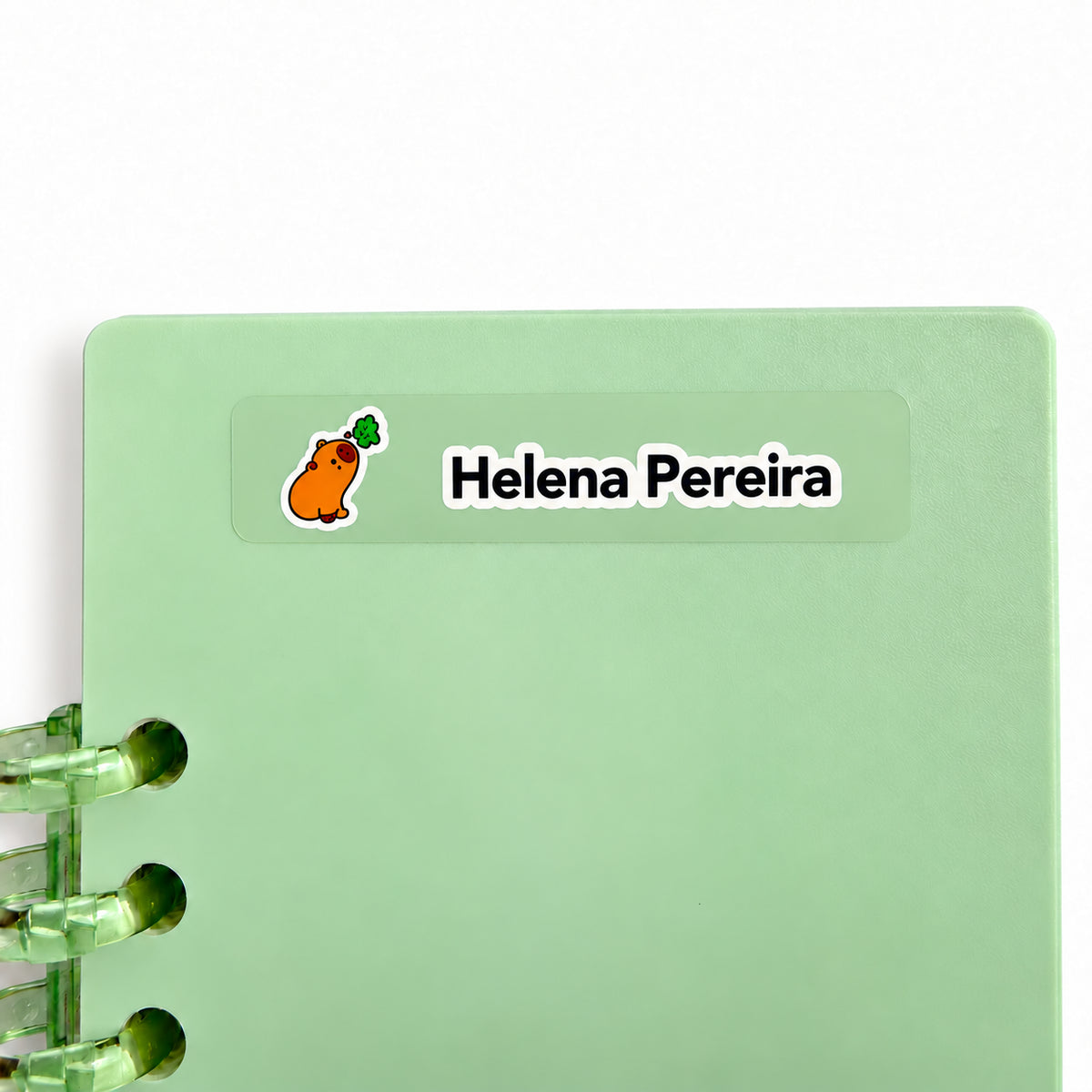 Etiqueta Fininha Transparente com Contorno Personalizadas