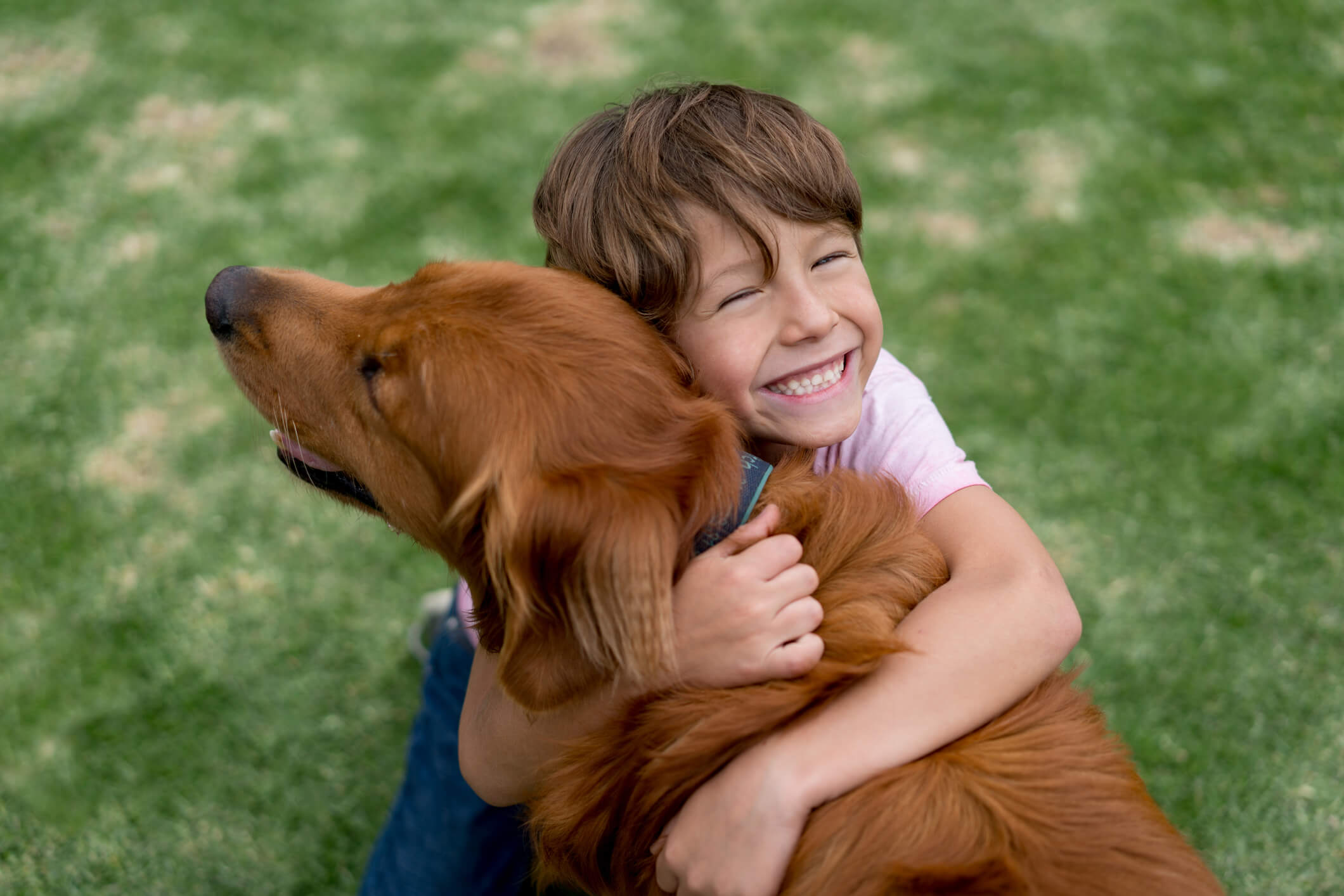 Crianças e animais de estimação: conheça os benefícios dessa relação