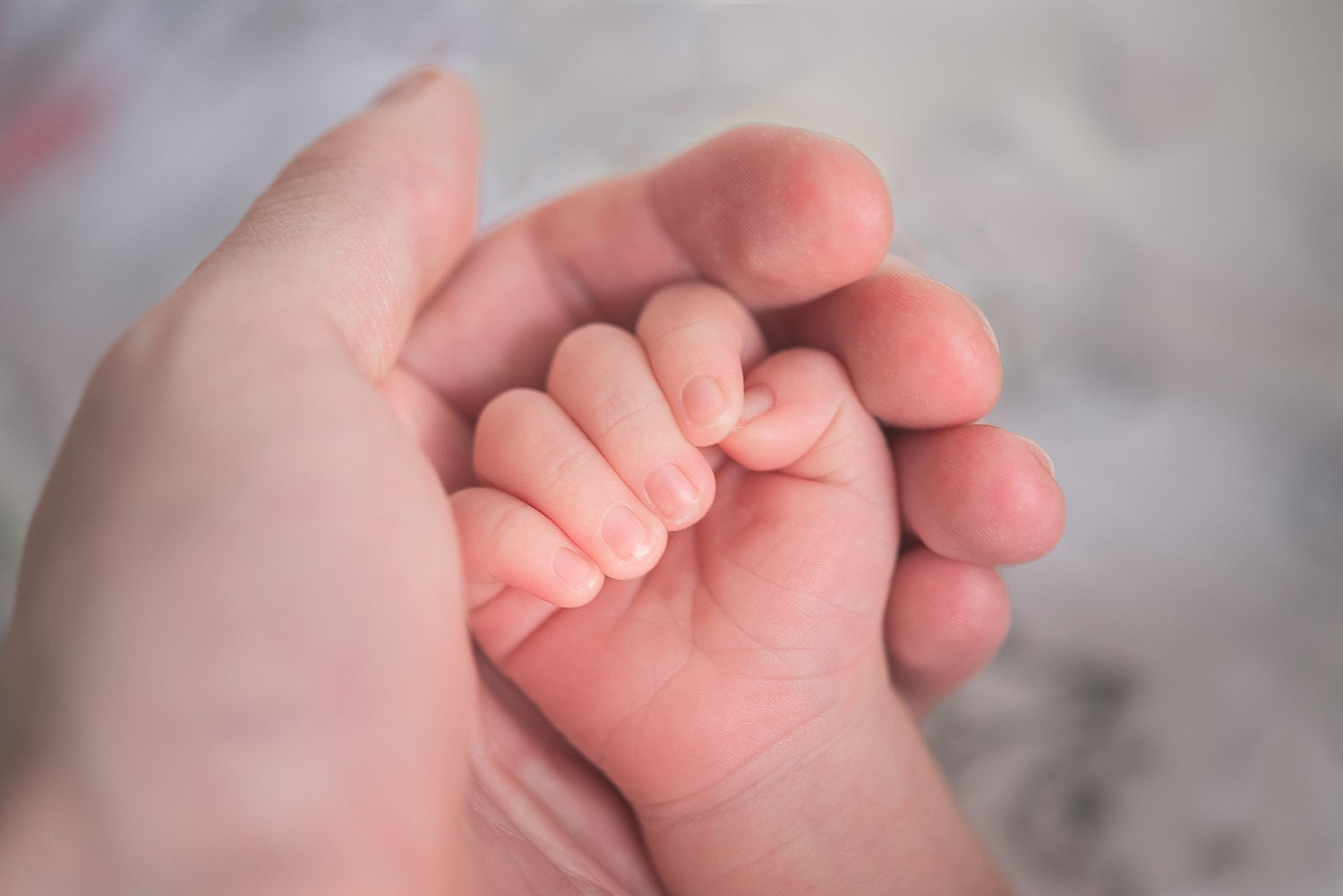 Finger Feeding: Conheça Mais Sobre Esse Tipo de Amamentação