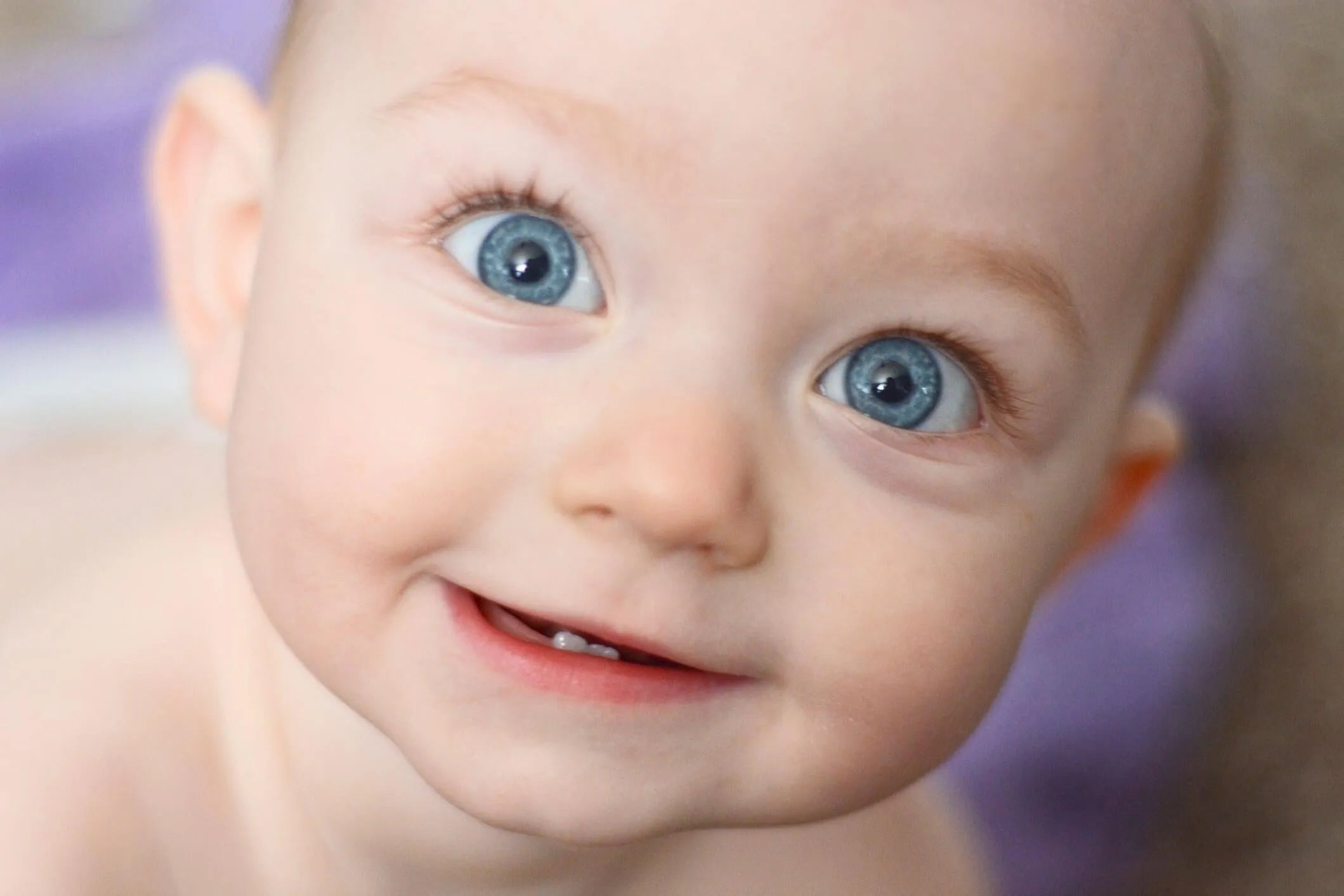 Primeiros dentinhos do bebê: saiba como identificar os sinais