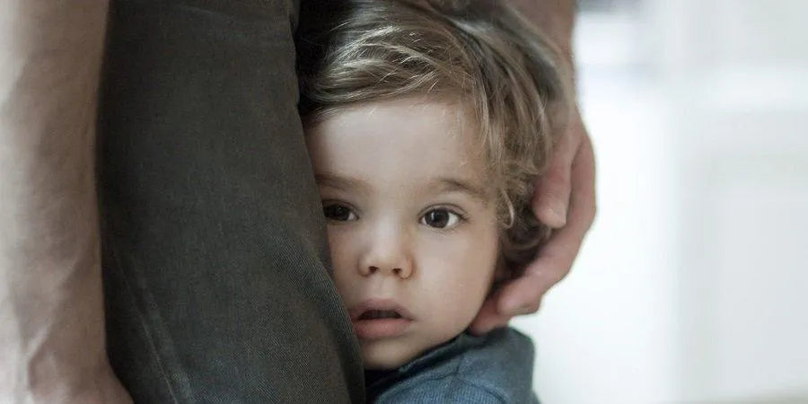 Meu Filho é Tímido – E Agora?