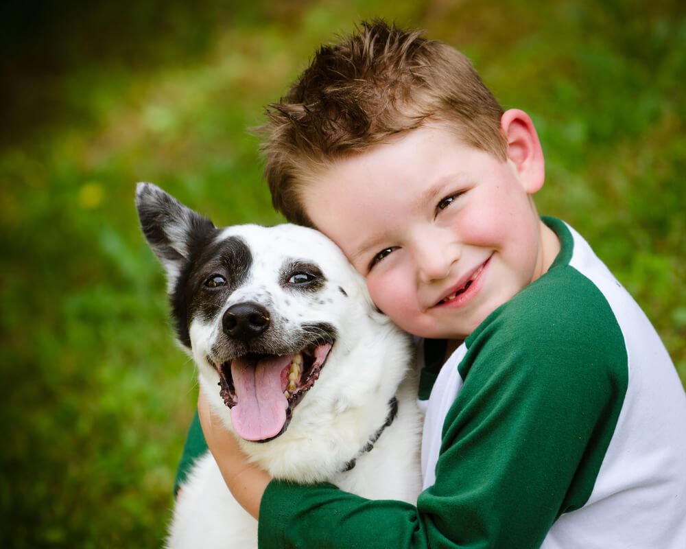 Pets, cuidar dos seus bichinhos nunca foi tão divertido